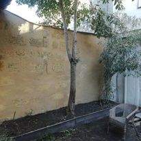 331255895 3482864605366952 4736887405430029511 n