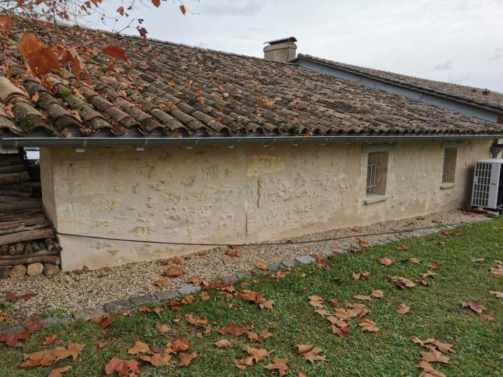 IMG 20241219 161032 (5)[1]