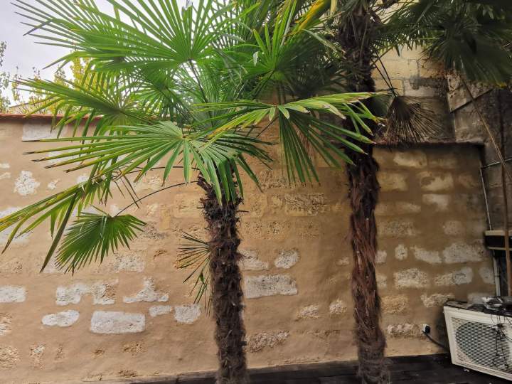 IMG 20251109 213419[1]