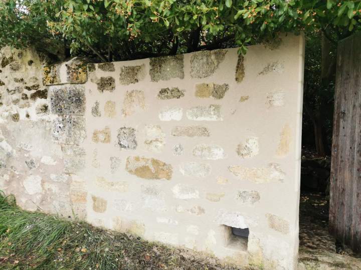 IMG 20260111 171631 (1)[1]